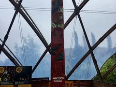 景点-怀托摩萤火虫洞