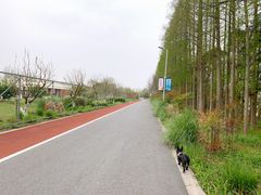 -上海长兴岛郊野公园