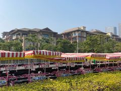 -黄金海岸环岛路