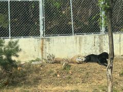 -石家庄市动物园