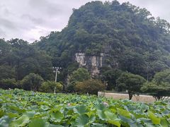 -上甘棠村