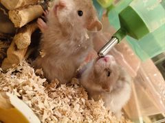 -龙猫仔乐园(惠福东路店)