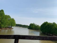 -上海海湾国家森林公园