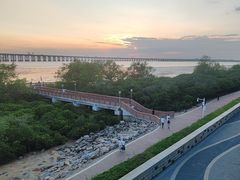 -宝安西湾红树林湿地公园