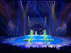 -珠海横琴长隆《卡卡虎奇遇记》