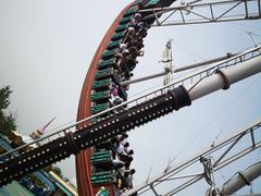 -秦皇岛乐岛海洋王国