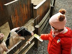 -前小桔亲子创意农场·草莓采摘·露营烧烤