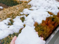 -君乐宝优致牧场