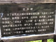 -东平国家森林公园