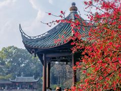 -棠湖公园