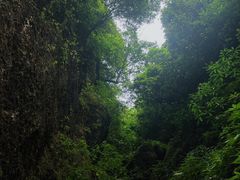 -龙窝子
