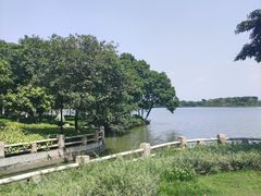 -海珠湖公园