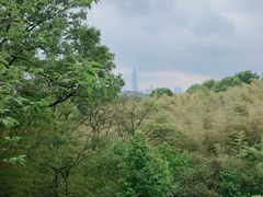 -紫金山天文台