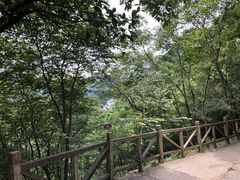 -杭州桐庐康莱德酒店西餐厅-舍