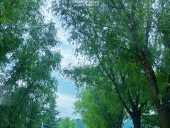 -西安祥峪森林公园
