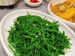蒜泥夜来香-唔哩赞·崇明私藏菜(建国西路店)