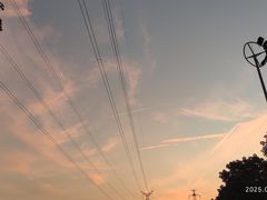 -金银湖国家城市湿地公园
