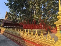 -西双版纳总佛寺