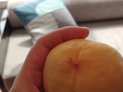 -长沙尼依格罗酒店