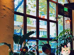 -VESH COFFEE(定西路店)