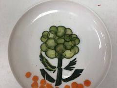 -爱月宝月嫂·育儿嫂