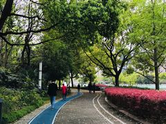 -苏州河梦清园环保主题公园