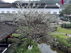 -泸州老窖景区