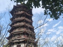 -洋湖国家湿地公园