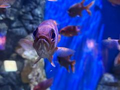 -成都浩海立方海洋公园