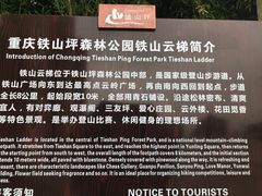 -铁山坪森林公园