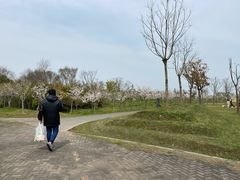 -上海海湾国家森林公园