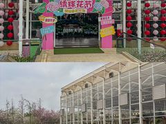 -盈香心动乐园
