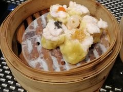 五色烧卖-新兴·金羊座·粤菜点心(乐峰店)