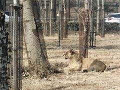 -秦皇岛野生动物园