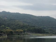 -风云岭森林公园