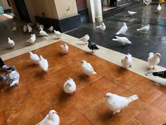 -王府井奥莱临潼小镇(临潼店)