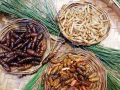 -昆虫窝子·特色云南菜(拓东路总店)