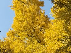 -狼山风景名胜区