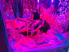 -三旗百汇商品城