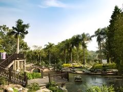 -广西壮族自治区药用植物园