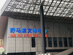-野马渡文体中心游泳·健身