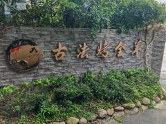 -桃园农庄烤全羊(江秋路店)