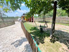 -东平国家森林公园