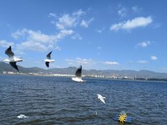 -海埂大坝