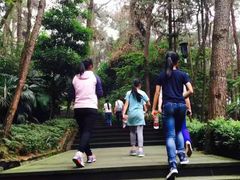 -铁山坪森林公园