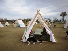 -春花秋色城市公园