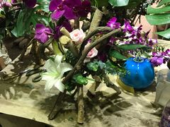 -BOBLOOM花店(宝龙旭辉广场店)