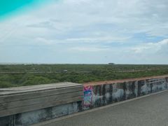 -北海金海湾红树林生态旅游区