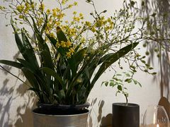 -十二舍·湯物素煮(江泰潤政店)