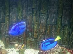 -北戴河圣蓝海洋公园